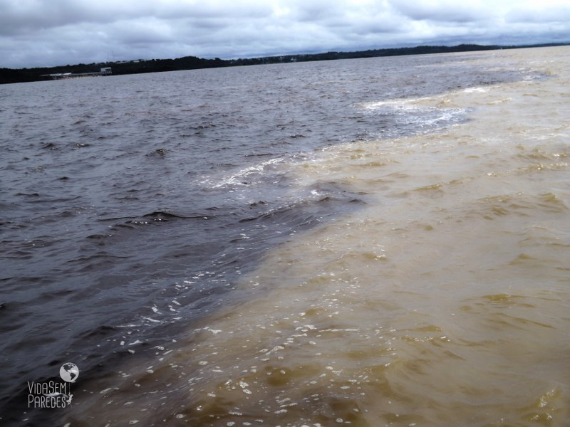 Encontro das Águas: o passeio mais famoso de Manaus