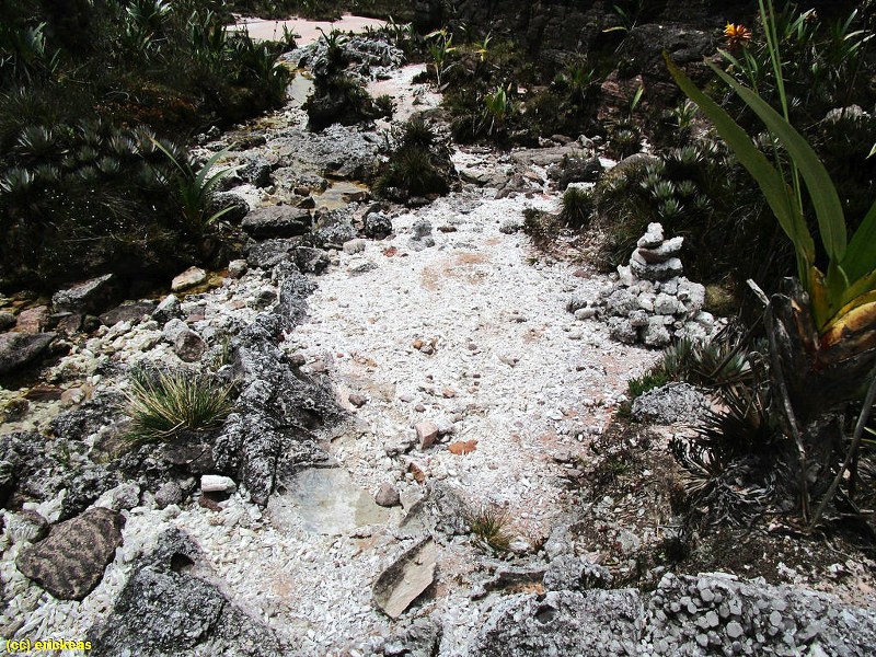 Atrações no Monte Roraima: Valle de los Cristales