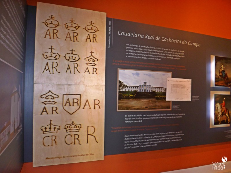 Desenho do cavalo Mangalarga – Foto de Museu Nacional do Cavalo Mangalarga  Marchador, Cruzília - Tripadvisor