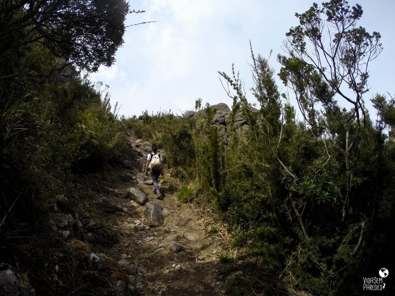 Morro do Couto - Parque Nacional de Itatiaia
