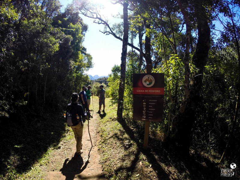 Dicas para a trilha do Pico da Caixa de Fósforo - PETP, Nova Friburgo / RJ