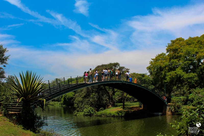 8 atrações do Parque Ibirapuera em SP | vida sem paredes