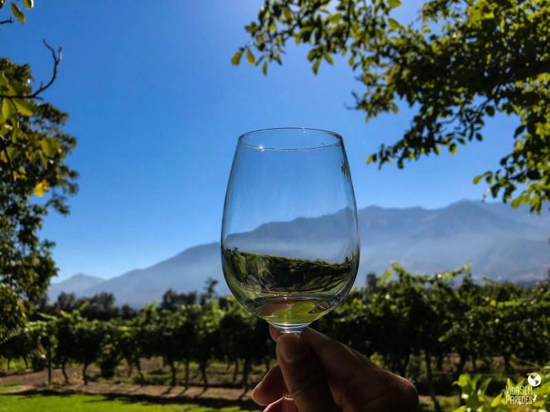 Melhores vinícolas no Valle del Maipo no Chile