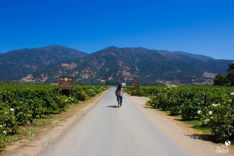 vinícolas no Vale do Colchagua, no Chile: Viña Casa Silva