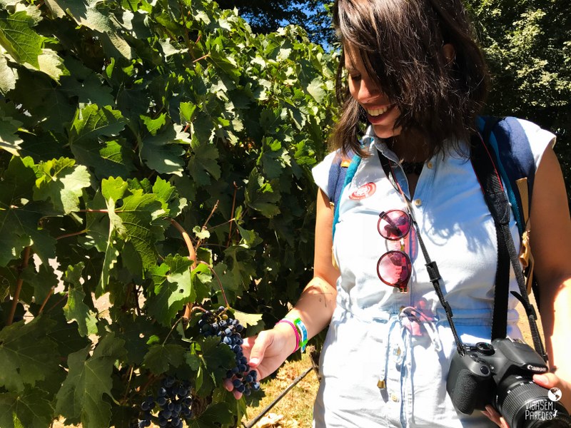 Melhores vinícolas no Valle del Maipo no Chile: Undurraga