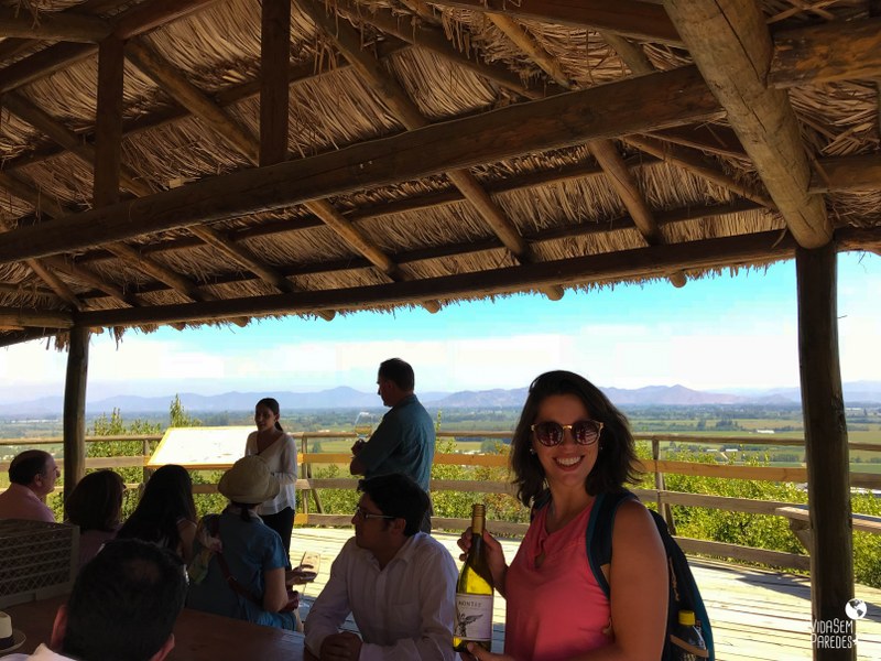 vinícolas no Vale do Colchagua, no Chile: Viña Montes