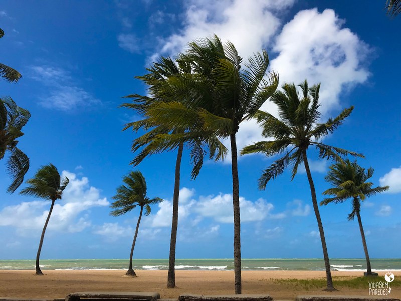 Melhores atrações para visitar em Recife: praia da Boa Viagem