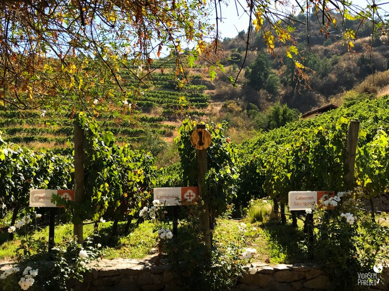 vinícolas no Vale do Colchagua, no Chile: Viña Santa Cruz