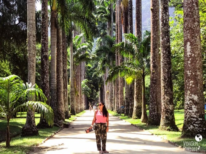 Jardim Botânico do Rio de Janeiro: 6 melhores dicas para visitar
