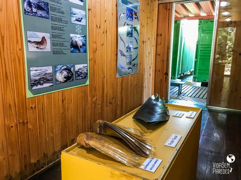 Museu Antartico rio grande