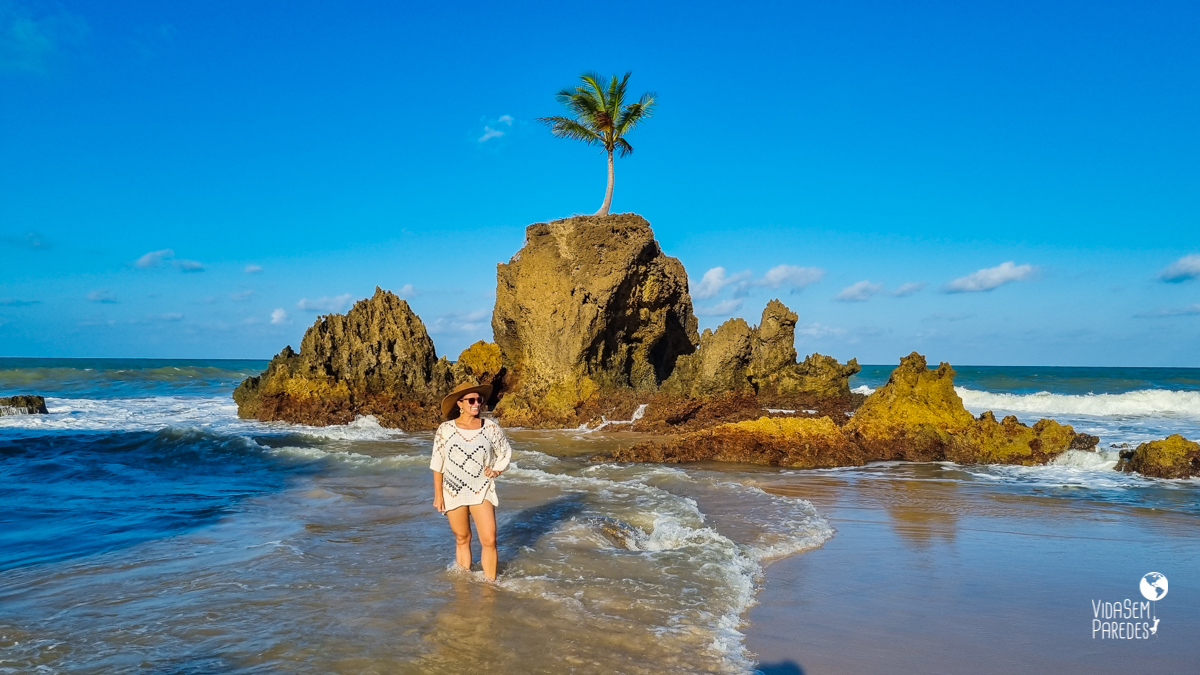 Praia De Tambaba Paraíba Como Ir Fotos E O Que Fazer