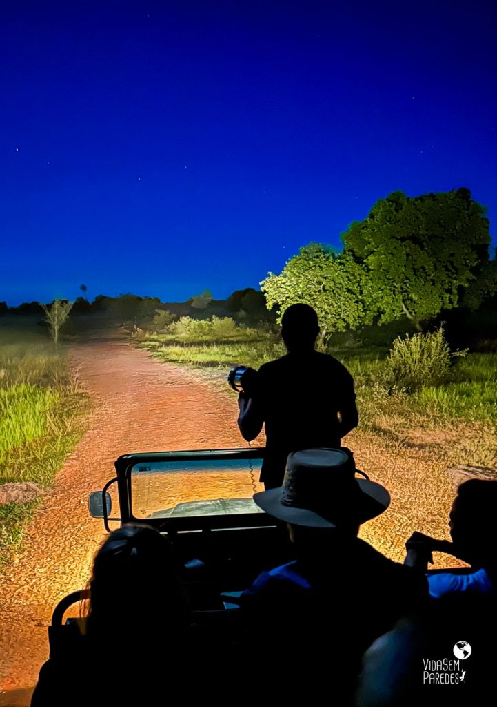 focagem noturna pantanal