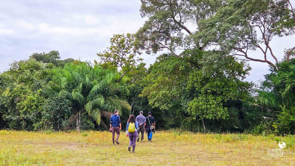 caminhada pantanal