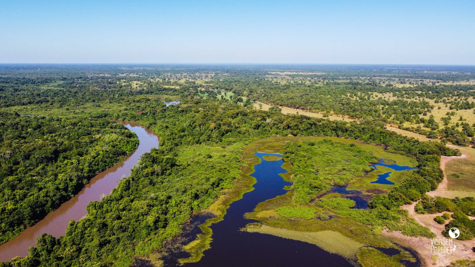 O que fazer no Pantanal MS: 10 experiências inesquecíveis