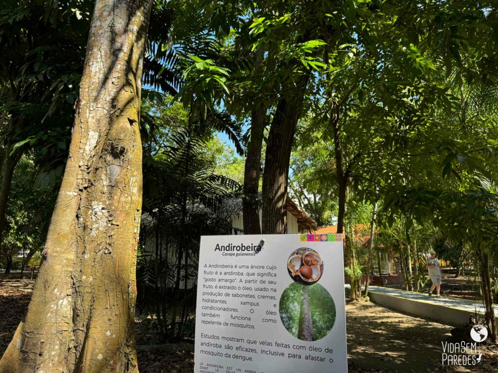 museu em macapa